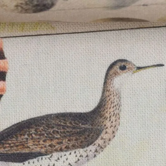 50cm Dekostoff Maritim Strandläufer Muscheln