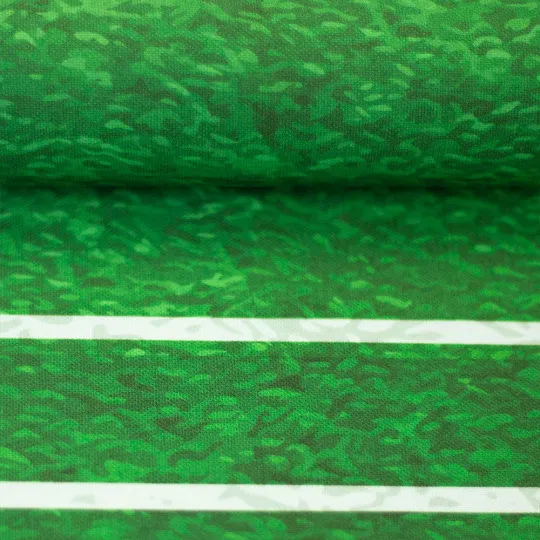 Panelstoff Fussballfeld Canvas 100x150cm