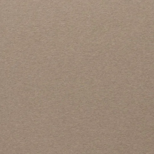 50cm Sweatshirtstoff Eike angeraut beige-meliert