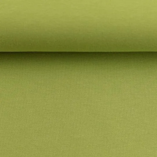 50cm Sweatshirtstoff Eike angeraut kiwi