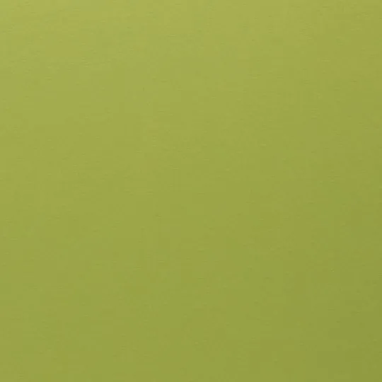 50cm Sweatshirtstoff Eike angeraut kiwi