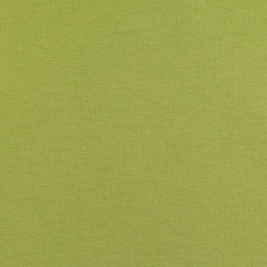 50cm Sweatshirtstoff Eike angeraut kiwi