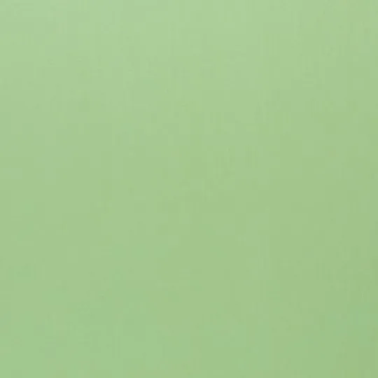 50cm Swafing Heide Baumwollstoff uni peppermint