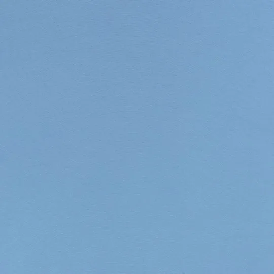 50cm Swafing Jerseystoff Vanessa hellblau