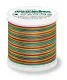 MADEIRA Rayon Multicolor Stickgarn 200m