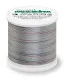 Madeira Rayon Stickgarn Potpourri 200m Fb.2312
