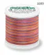 Madeira Polyneon Stickgarn MULTICOLOR 200m